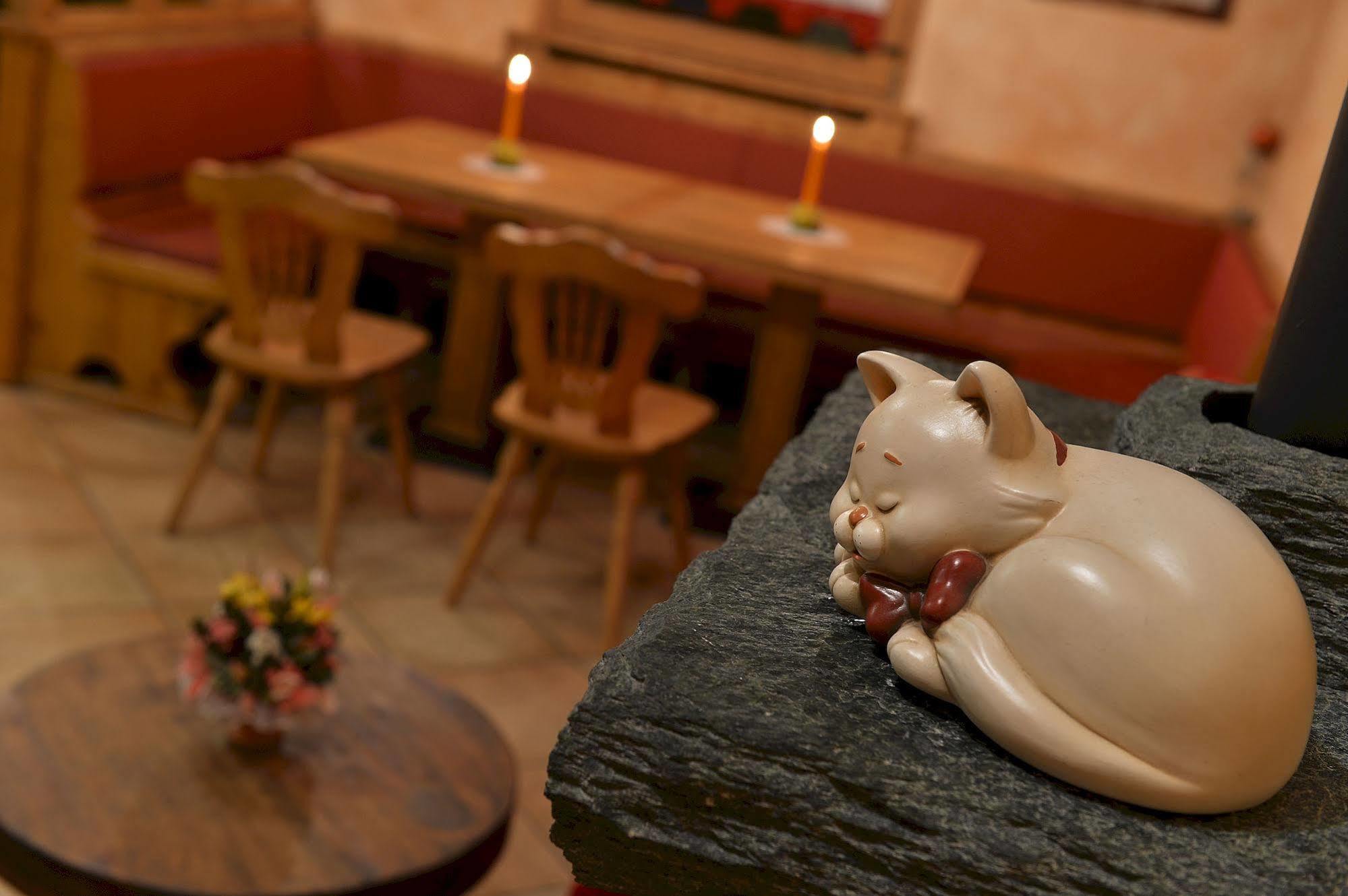Hotel Costanza Mountain Holiday 利维尼奥 外观 照片